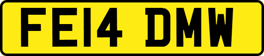 FE14DMW
