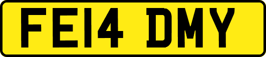 FE14DMY