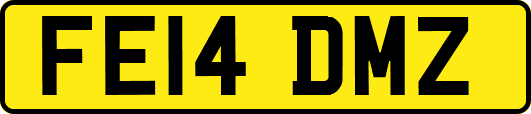 FE14DMZ