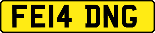 FE14DNG