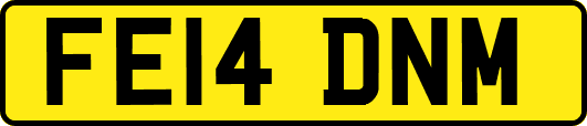 FE14DNM