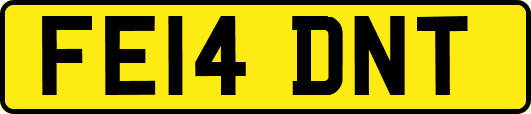 FE14DNT
