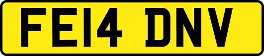 FE14DNV
