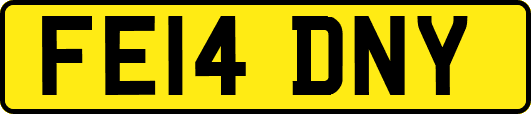 FE14DNY