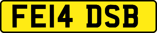 FE14DSB