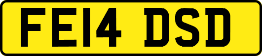 FE14DSD