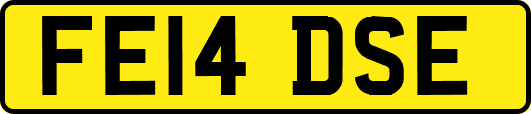 FE14DSE