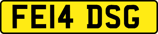 FE14DSG