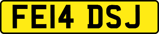 FE14DSJ