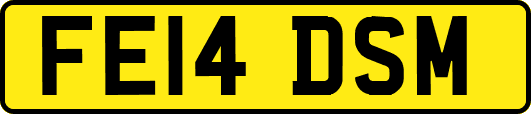 FE14DSM