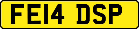 FE14DSP