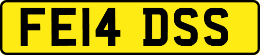 FE14DSS