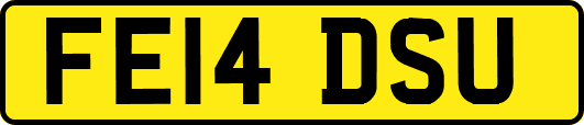 FE14DSU