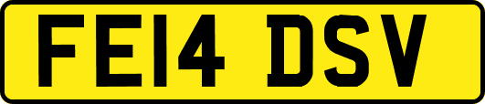 FE14DSV