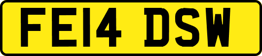 FE14DSW