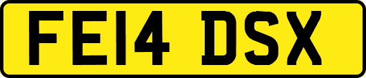 FE14DSX