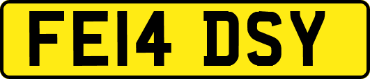 FE14DSY