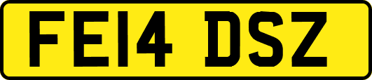 FE14DSZ