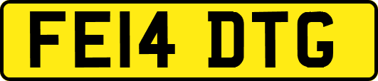 FE14DTG