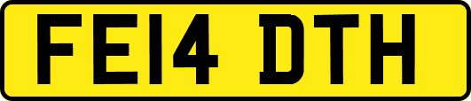 FE14DTH