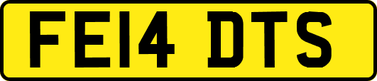 FE14DTS
