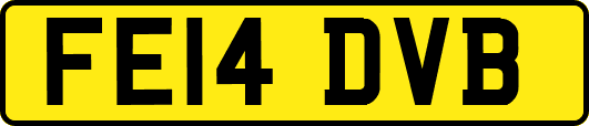 FE14DVB