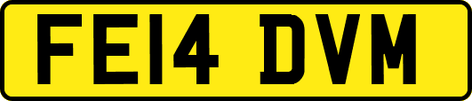 FE14DVM