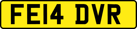 FE14DVR