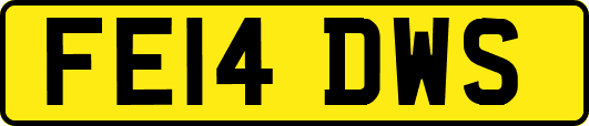 FE14DWS