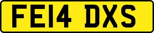 FE14DXS