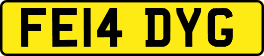 FE14DYG