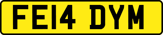 FE14DYM