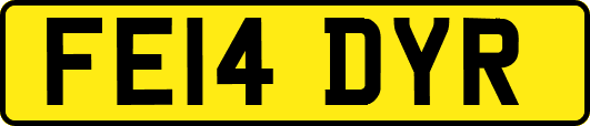 FE14DYR