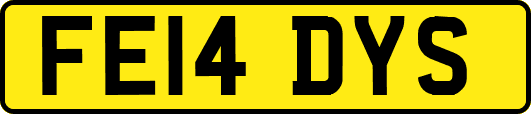 FE14DYS