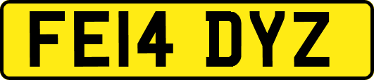 FE14DYZ