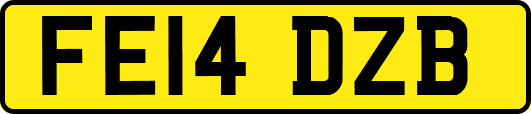 FE14DZB