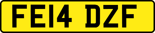 FE14DZF