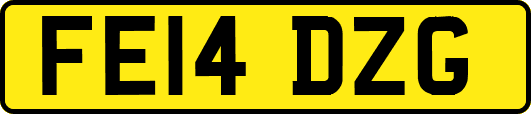 FE14DZG