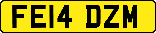 FE14DZM