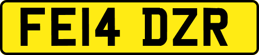 FE14DZR