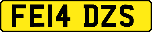 FE14DZS