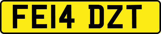 FE14DZT