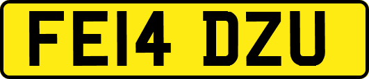 FE14DZU
