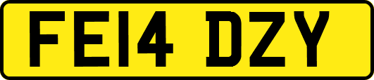 FE14DZY
