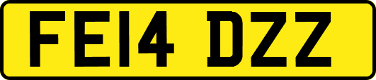 FE14DZZ