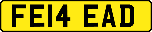 FE14EAD