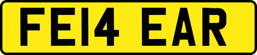 FE14EAR