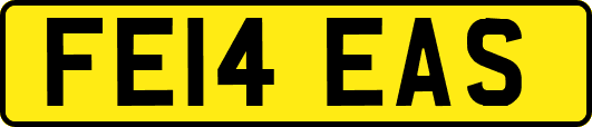 FE14EAS