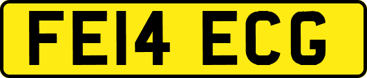 FE14ECG