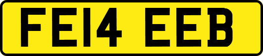 FE14EEB